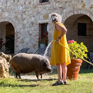Sole Alojamento de Turismo Rural